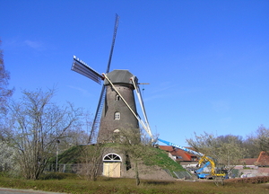 P1010013