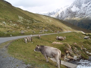Oostenrijk 2010 080