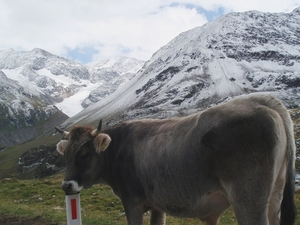 Oostenrijk 2010 082
