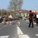 Carnaval Merelbeke 203