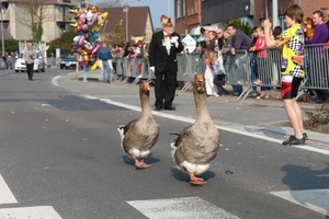 Carnaval Merelbeke 206