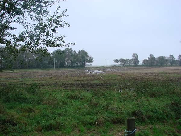 DSC2891 - waar het water zijn werk deed