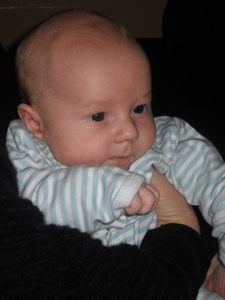 pieter