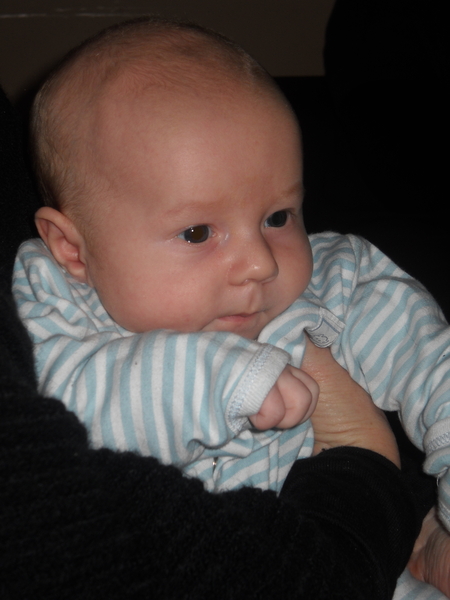pieter