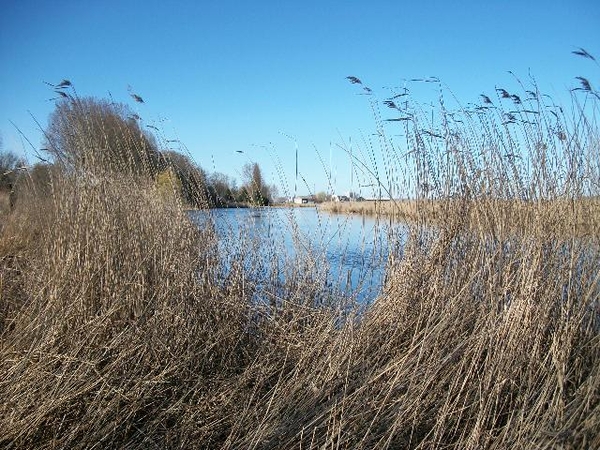 50-Waterloop -De Kreek in Hoek