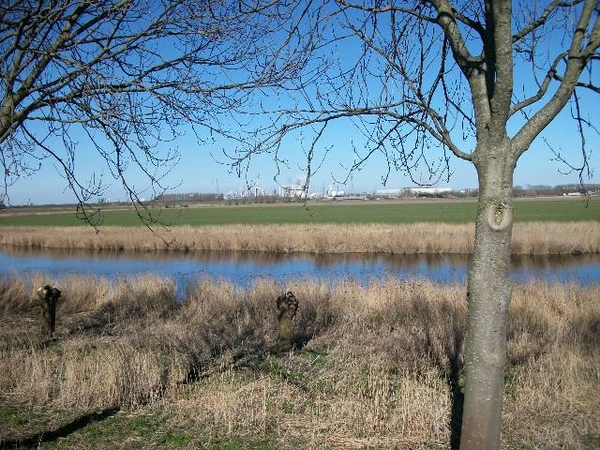 52-Waterloop De Kreek in Hoek