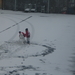 New year 2004032