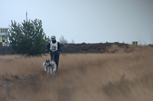 SLEDE DOGS  HELCHTEREN 00111