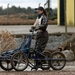 SLEDE DOGS  HELCHTEREN 02511