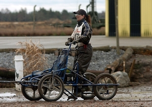 SLEDE DOGS  HELCHTEREN 02511