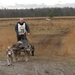 SLEDE DOGS  HELCHTEREN 02611