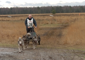 SLEDE DOGS  HELCHTEREN 02611