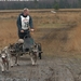 SLEDE DOGS  HELCHTEREN 02711