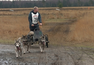 SLEDE DOGS  HELCHTEREN 02711