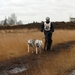 SLEDE DOGS  HELCHTEREN 03611