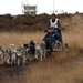 SLEDE DOGS  HELCHTEREN 03811