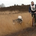 SLEDE DOGS  HELCHTEREN 04111