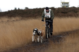 SLEDE DOGS  HELCHTEREN 04511
