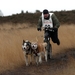 SLEDE DOGS  HELCHTEREN 04611