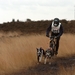 SLEDE DOGS  HELCHTEREN 05111