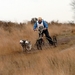 SLEDE DOGS  HELCHTEREN 05311