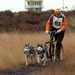 SLEDE DOGS  HELCHTEREN 05711
