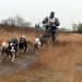 SLEDE DOGS  HELCHTEREN 06211