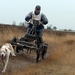 SLEDE DOGS  HELCHTEREN 06311