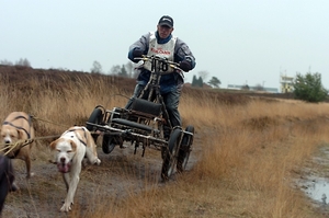 SLEDE DOGS  HELCHTEREN 06311