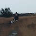SLEDE DOGS  HELCHTEREN 06511