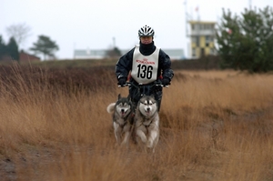 SLEDE DOGS  HELCHTEREN 07411