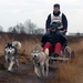 SLEDE DOGS  HELCHTEREN 08311
