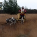 SLEDE DOGS  HELCHTEREN 09411