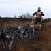 SLEDE DOGS  HELCHTEREN 09811