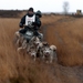 SLEDE DOGS  HELCHTEREN 10111