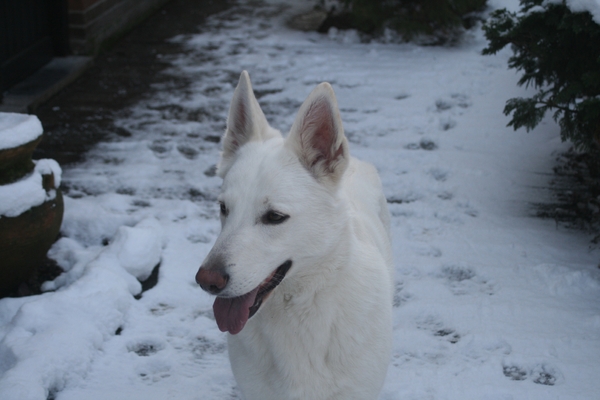 januari 2010 (21)
