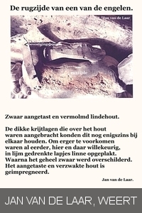 ENGEL HOUTWORM AANTASTING