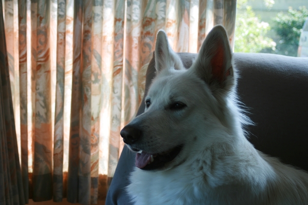 juni-juli 2010 (19)