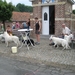 juni-juli 2010