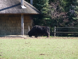 Otterlo25-03-11 013