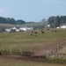P1000135