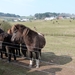 P1000137
