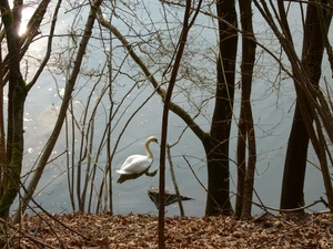 P1000167