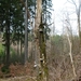 P1000221