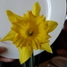 P1000222