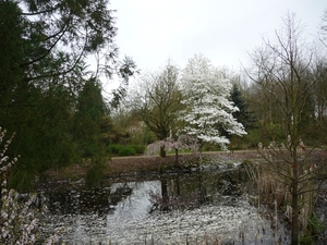110401.EEKLO