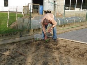 110408.RUISELEDE.NAAR DE MARKT GEWEEST