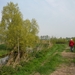 110416.BOEKHOUTE 003