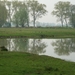 110416.BOEKHOUTE 016