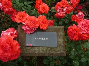 110613.KANEGEM 005